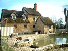 Chȃs[X^AWAG