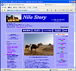 �i�C���X�g�[���[�^�G�W�v�g���s���