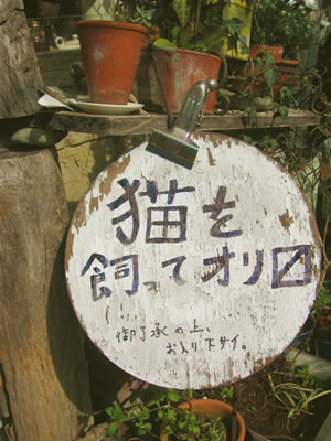 麦マル２／まんじゅうカフェ／神楽坂交差点近く