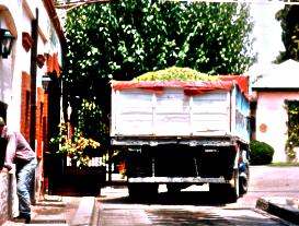 mendoza-2.jpg
