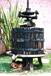 mendoza-3.jpg