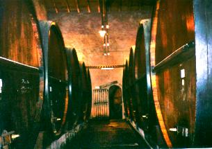 mendoza-5.jpg