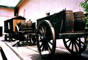 mendoza-6.jpg