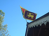 NbNő傫