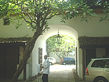 NbNő傫