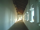 NbNő傫