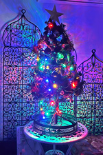 �肢�J�t�F�W�W�I������_�{�T����